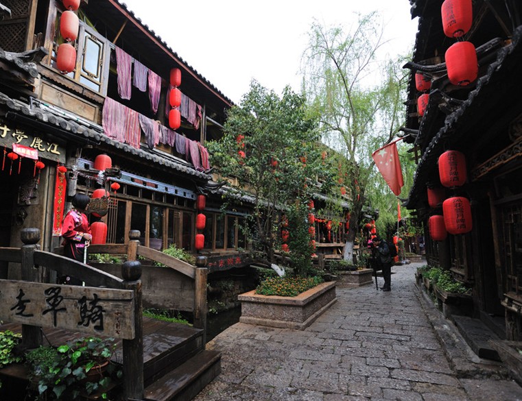 �����ų�